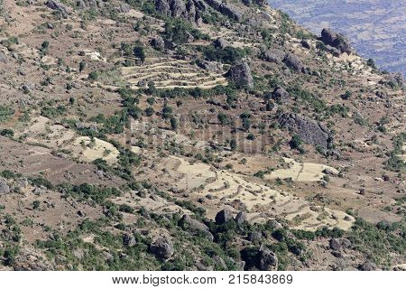 Field Terraces In The Ethiopian Mountains