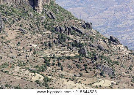 Field Terraces In The Ethiopian Mountains
