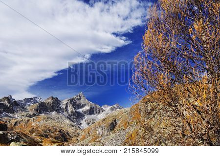 Autumn landscape in Adamello - Presanella Alpine Group, Italy, Europe