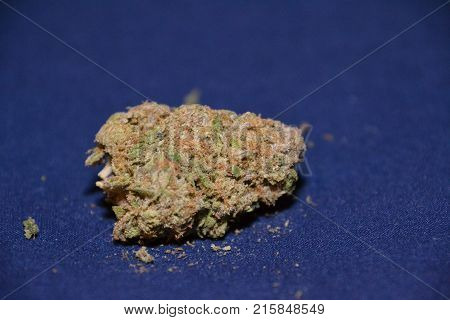 Large Cannabis Bud (flower). Cannabis Is Used Medicinally And As Well As For Recreation Purposes