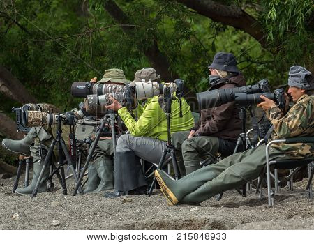 Kamchatka Peninsula, Russia - August 13, 2016: Group of professional photographers at a photo shoot on the Kurile Lake shore.
