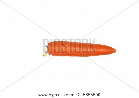 One whole carrots isolated on a white background. Isolate.