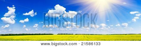 Fine Panorama af Rapefield og Cloudscape.