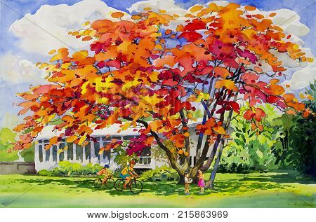 Watercolor landscape original painting red orange color of peacock flowers and family exercise on grass field in home. Hand painted blue sky cloud background, beauty nature summery season.