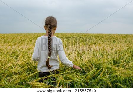 Girl With Long Hair Walking In Rye Field On Warm And Cloudy Summer Day
