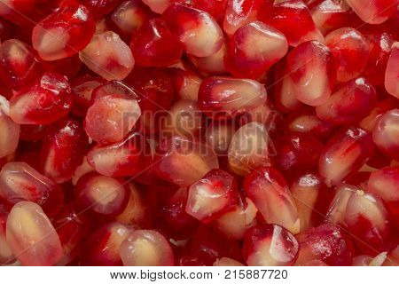 Red Background of Grain Red Grenades. Big Ripe Red Granets or Garnets. Fruits of Red Ripe Pomegranate on the White Background. Vegetarian Concept Organic Vitamins. Organic and Benefit Garnet Fruit.