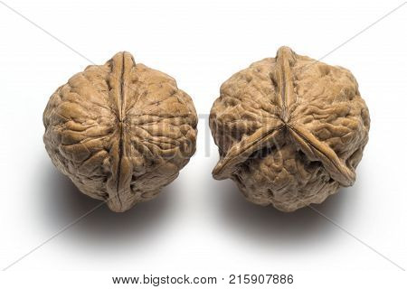 Anomaly of nature on a different walnut