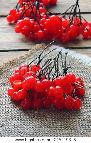 Red ripe Viburnum, kalina in autumn on wooden background