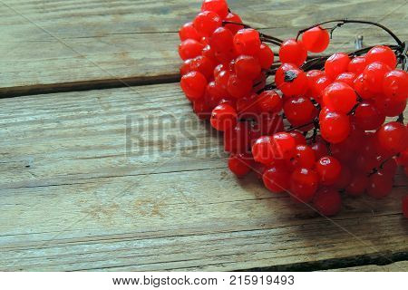Red ripe Viburnum, kalina in autumn on wooden background