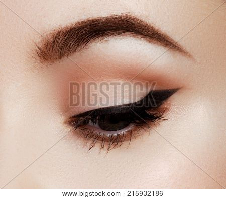 Makeup Artist Applies Eye Makeup. Close-up Macro Of Beautiful Eye With Perfect Shape Eyebrows. Beaut