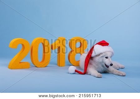 A small white fluffy Samoyed puppy in the Christmas cap of the elf lies and looks down. On a blue background with orange big number 2018.