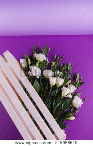 In a light wooden drawer there is a large beautiful bouquet of white Japanese rose eustoms on a purple background. View from above.