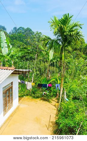The village house is surrounded with lush jungle garden Demodara Ella Sri Lanka.