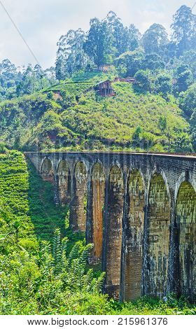 Damodara Landscape With Nine Arch Bridge