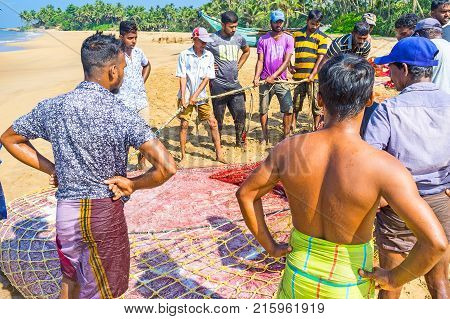 BENTOTA SRI LANKA - DECEMBER 6 2016: The crew of fishermen stand at the net full of whitebait fish their main catch on December 6 in Bentota.