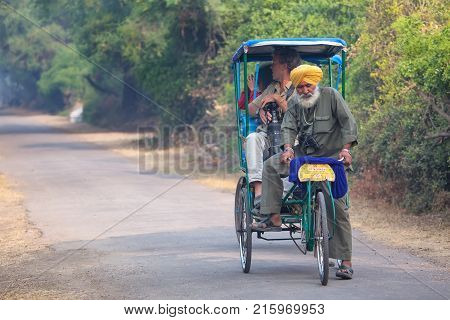 Bharatpur, India - November 11: Unidentified People Ride Cycle Rickshaw In Keoladeo Ghana National P
