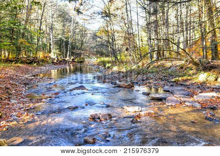 View Of Canaan Valley Mountains In Blackwater Falls State Park In West Virginia During Colorful Autu
