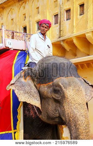 Amber, India - November 13: Unidentified Man Rides Decorated Elephant In Jaleb Chowk In Amber Fort O