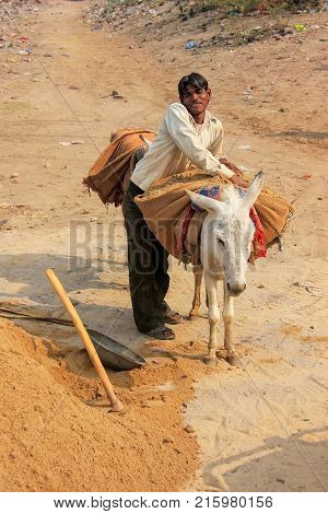 Fatehpur Sikri, India-january 30: Unidentified Man Stands With Donkey Outside Jama Masjid On January
