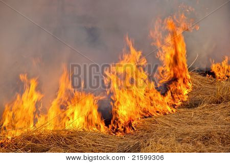 Sulla natura del fuoco