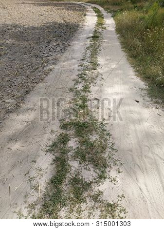 Unpaved , Dirt Road Leaving Into The Distance.