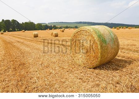 Large Straw Bales Lie In The Sunshine On A Harvested Field.