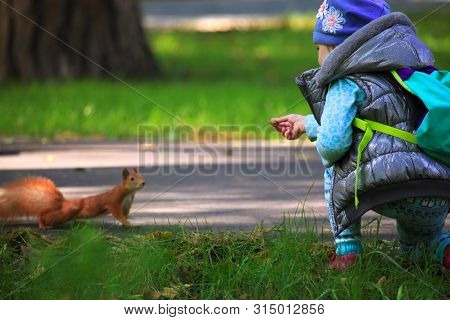 Kyiv, Ukraine - April 15, 2018: Little Girl Offers And Gives The Nut To The Squirrel In The City Par