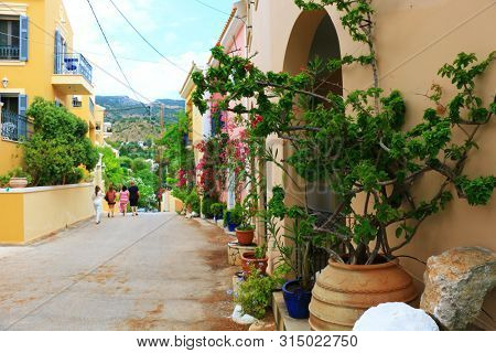 traditional greek housedoor and flowers