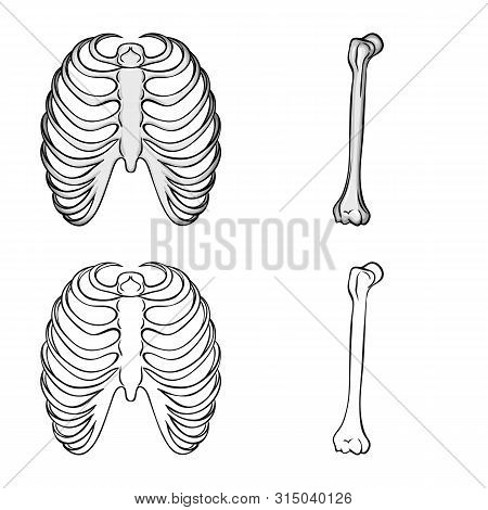 Vector Design Of Medicine And Clinic Icon. Set Of Medicine And Medical Vector Icon For Stock.