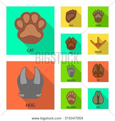 Vector Design Of Step And Walk Icon. Collection Of Step And Fauna Stock Vector Illustration.