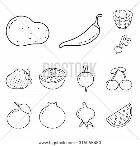 Vector Illustration Of Healthy And Ripe Sign. Collection Of Healthy And Harvest Stock Vector Illustr