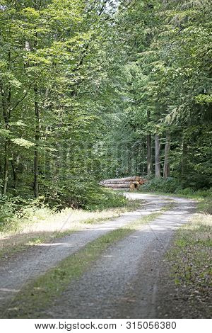 Walking On Wild Forest Road Dorsten Background Fine Art In High Quality Prints Products