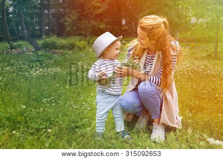 Little Boy And His Mom Are Walking In A Summer Green Park With A Bouquet Of Chamomiles