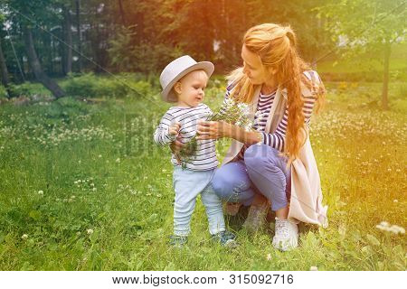 Little Boy In A Big Hat Gives His Beloved Mother A Bouquet Of Wildflowers (chamomiles). A Touching A