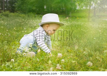 Kid In A Big Hat Looks At Something In The Green Grass In The Meadow Of A Summer Park