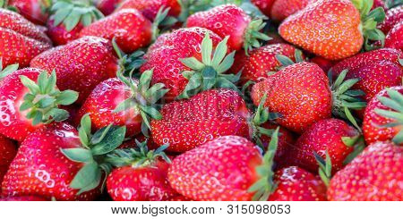 Close Up Of Fresh Strawberries From Serbia