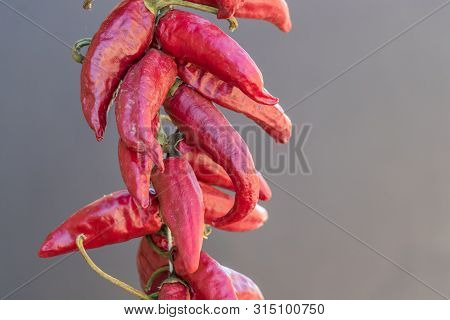Group Of Dried Pepper Put On The Left Side On Grey Background