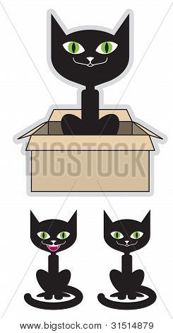 Zwarte kat