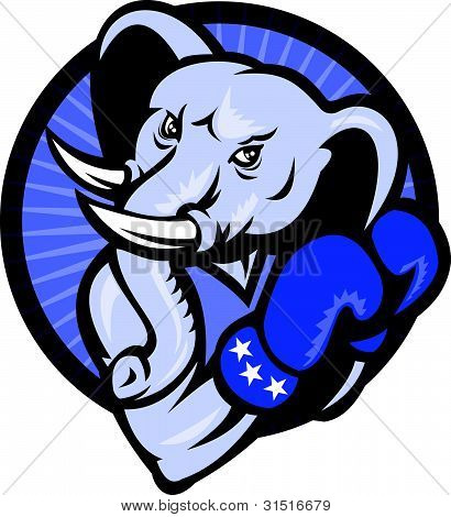 Elefante con guanti boxe Carbossimetilazione mascotte