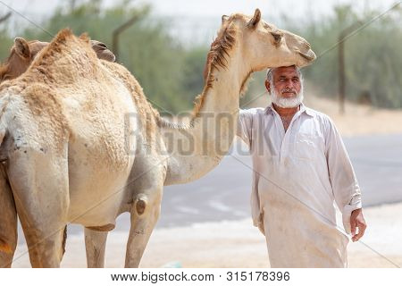 Al Ain, Uae - March 27, 2019: Man Selling Hay Stacks On The Side Of The Road Near Al Ain, Uae Posing