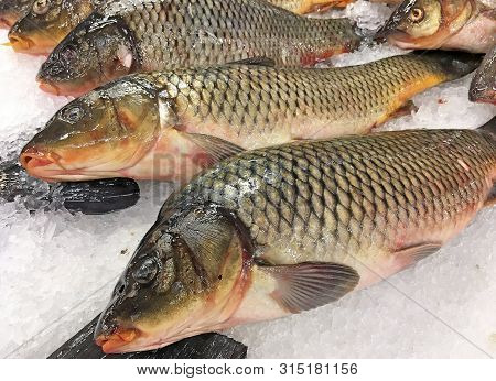 Sazan Fish On Ice, Chilled Fish On The Market For Sale