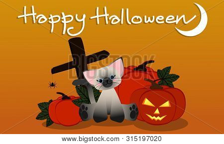 Vector Illustration Of Cute Siamese Cat Have Blue Eye And Pink Cheek Sitting Around Pumpkins, Pumpki