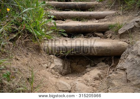 Hidden Hole Underneath Wooden Man Made Staircase In A Nature-hiking Trail