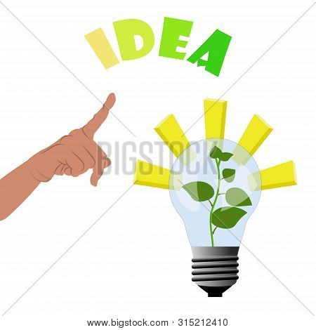 Pointing Hand To Plant Grow Inside The Lamp - Light And Inspirations For Business Idea To Make Money