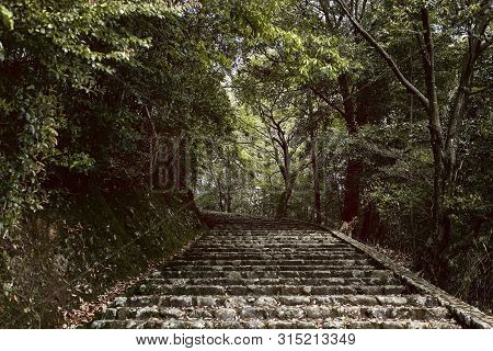 Staircase Up A Steep Hill Into A Forest In Arashiyama, Japan