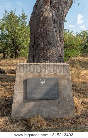 Kruger National Park, South Africa - May 8, 2019: A Memorial Plaque At The Tree Where A Cross Was Ca