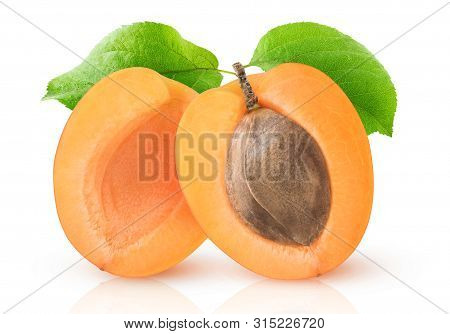 Isolated Apricot. One Apricot Fruit Cut In Halves With Kernel And Leaf Isolated On White Background 