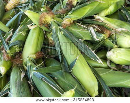 Corn Corn And More Corn , Harvested And Sold At Market