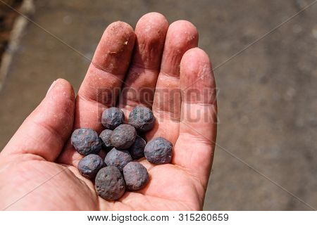 Iron Ore Taconite Pellets In Worker Hand