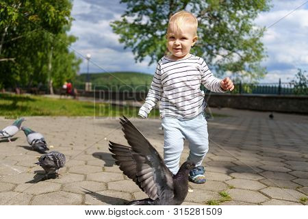 Kid Walks Through The Summer Green Park And Plays On A Sunny Day. He Is Jolly Running After The Pige